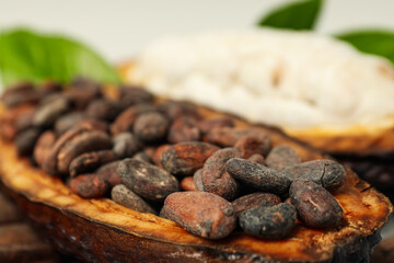 Concept of fresh and aromatic food - cacao beans