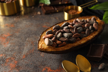 Concept of fresh and aromatic food - cacao beans