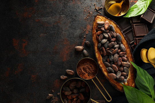 Concept of fresh and aromatic food - cacao beans