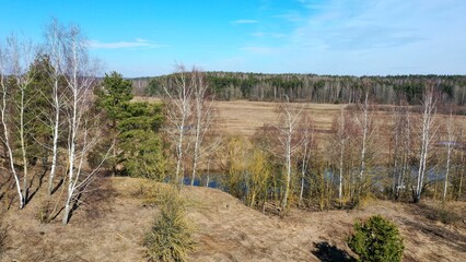 aerial photography of nature. top view of the river and the meadow with the forest. awakening of nature