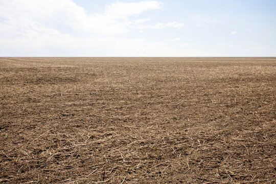 Dry field.  Drought season concept.