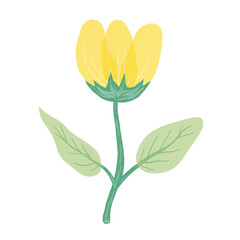 illustration of yellow flower