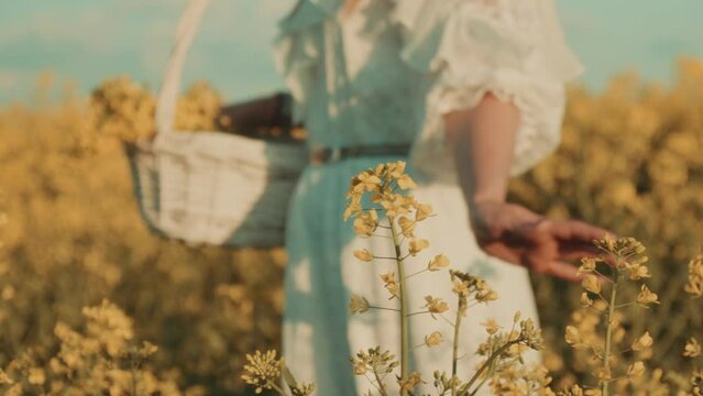 Beautiful young woman in white dress on yellow flower meadow in sunset