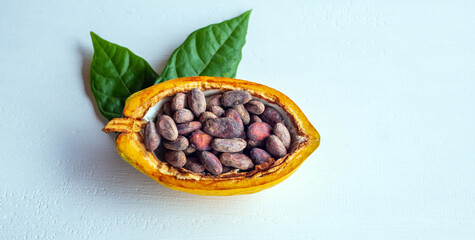 Brown cocoa beans in half-in cut cocoa fruit  with green cacao leaf on white wooden background