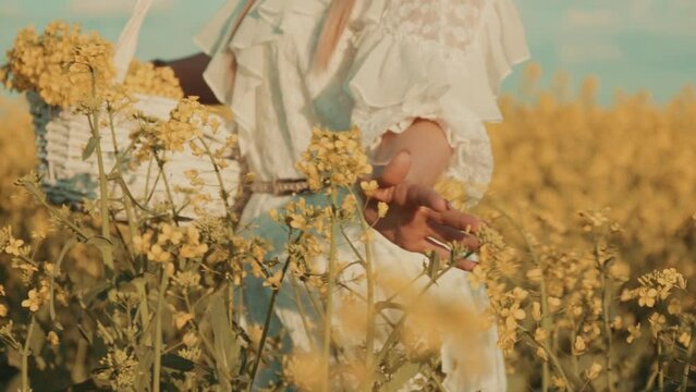 Beautiful young woman in white dress on yellow flower meadow in sunset