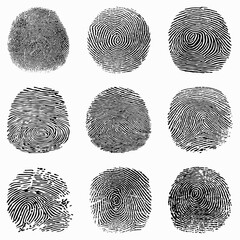 Fingerprint Vector Collection - 604890299