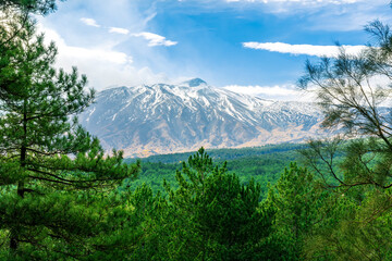 scenic landscape of green pine tree confierous forest to amazing white snow mountains with beautiful blue cloudy sky on background, national park view