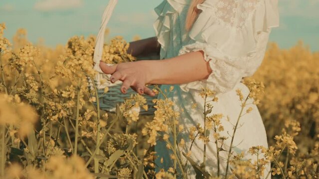 Beautiful young woman in white dress on yellow flower meadow in sunset