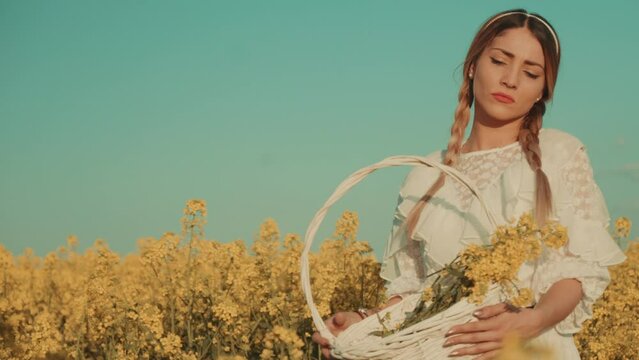 Beautiful young woman in white dress on yellow flower meadow in sunset