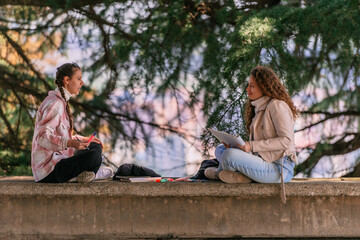 Fototapeta premium Two school girls sitting on a wall ledge having a conversation while studying for their next exam