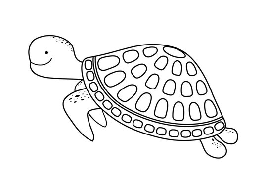 Cartoon marine turtle. Outline of cute smiling sea turtle. Contour. Coloring.