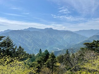 山から見下ろした南アルプス