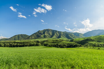 Green meadow against the backdrop of green hills. Blue sky with clouds.Journey into the wild.