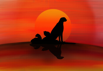 Fototapeta na wymiar shadow of a mother cheetah and her children in the meadow, with sunset in the background