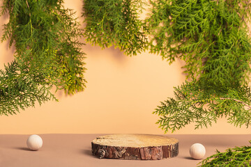 Natural style. Wooden cutout, round podium with cypress branches on a beige background. Presentation of natural organic products. Selective focus.
