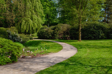 Fototapeta na wymiar European city park. Path With Green Trees and Grass in Public Park. Beautiful Alley, road In Park.