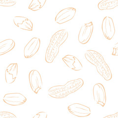 Peanuts seamless pattern. Line art vector illustration. Nuts background.