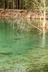 Park Grodek in Jaworzno in Poland, i.e. Polish Maldives (large amounts of fish).
