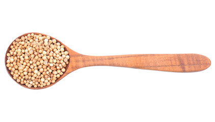 Coriander seeds isolated transparent png