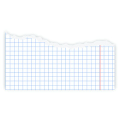 torn piece of checkered notebook page