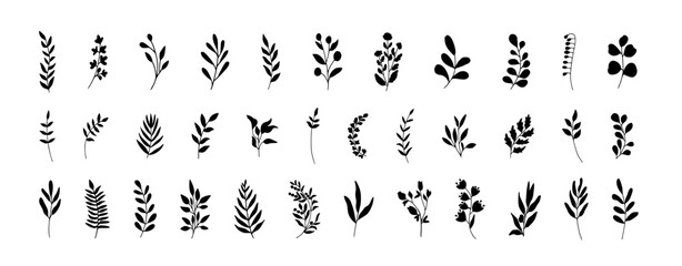 Big set of simple vector flowers and leaves. Flat line design. Set of elegant floral elements for graphic and web design