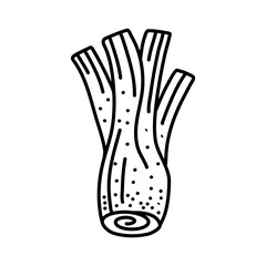 Fennel root plant. Hand drawn sketch vector illustration isolated on white. Fennel Doodle design 