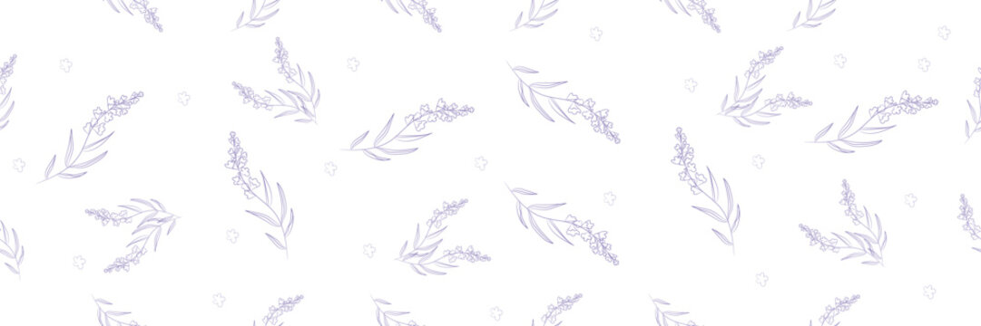 Seamless patter with beautiful lavender on white background