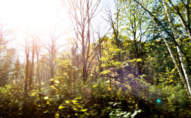 Nature landscape with colorful trees in early autumn
