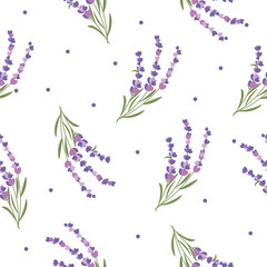 Seamless patter with beautiful lavender on white background