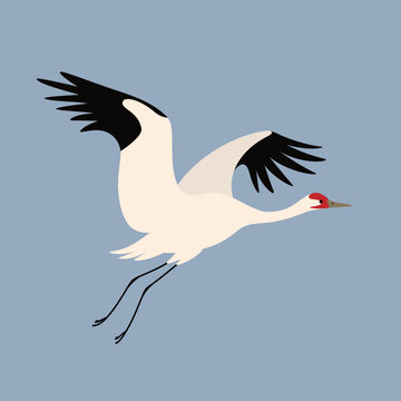 Siberian crane flying. Cute bird illustration. Vector illustration for prints, clothing, packaging, stickers.
