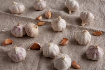 Raw Organic White Garlic Bulbs on a cloth, side view.