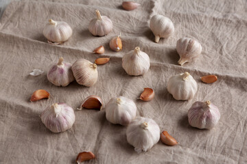 Raw Organic White Garlic Bulbs on a cloth, side view.