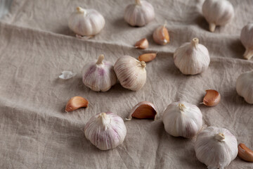 Raw Organic White Garlic Bulbs on a cloth, side view. Copy space.