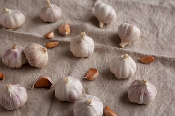 Raw Organic White Garlic Bulbs on a cloth, side view.
