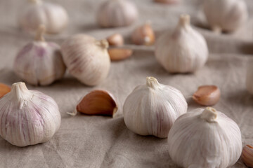 Raw Organic White Garlic Bulbs on a cloth, side view. Close-up.