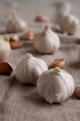 Raw Organic White Garlic Bulbs on a cloth, side view. Close-up.