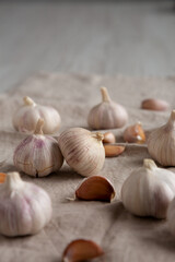 Raw Organic White Garlic Bulbs on a cloth, side view. Close-up.