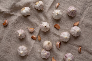 Raw Organic White Garlic Bulbs on a cloth, top view. Flt lay, overhead, from above.