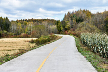 Fototapeta na wymiar Empty country road with trees and farmland in autumn