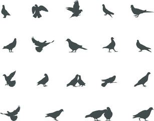 Obraz na płótnie Canvas Dove silhouette, Flying dove silhouette, Bird silhouettes, Dove SVG, Dove clipart.