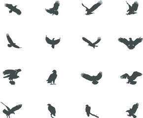 Obraz na płótnie Canvas Eagle silhouette, Bald eagle silhouette, Flying eagle silhouette, Eagle SVG, Eagle vector illustration.