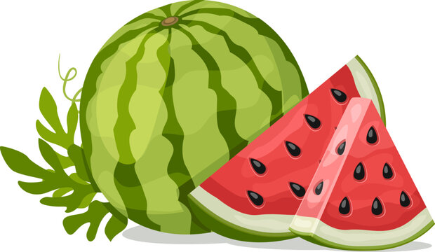 Ripe watermelon with a slice and a triangle on a white background.