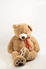 Osito de peluche grande sentado sobre fondo blanco.