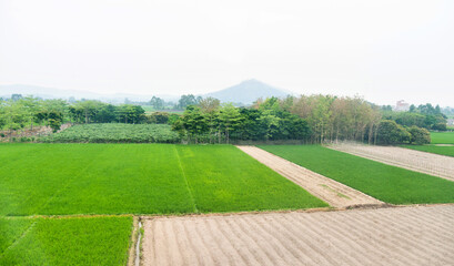 View of farm fields in springtime