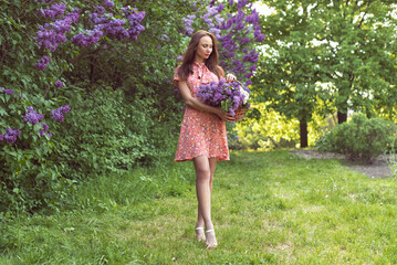 Evening in the botanical garden when the lilac blossomed