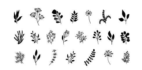 Bundle of detailed botanical drawings of blooming wild flowers. Black and white doodle blossom. Decorative floral elements set. Vector illustration