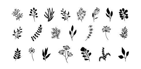 minimal botanical graphic sketch drawing, trendy tiny tattoo design, floral elements vector illustration