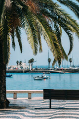 Palm trees at seaside promenade in Cascais in Portugal