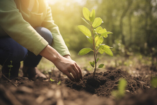 Corporate Social Responsibility: An unrecognizable man planting a tree as part of a CSR initiative