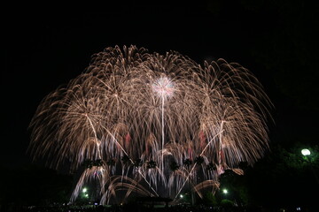 Nagoya Art Fireworks Festival in Japan